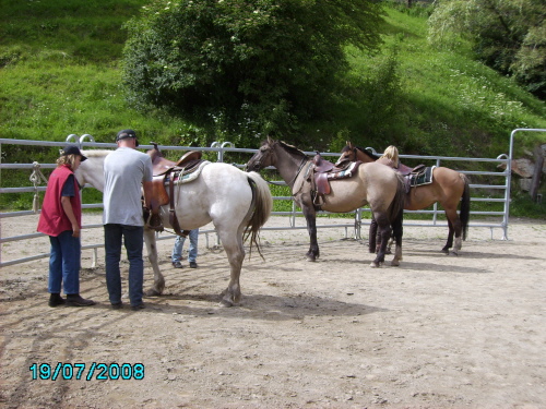 Round-Pen